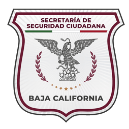 SEGURIDAD CIUDADANA